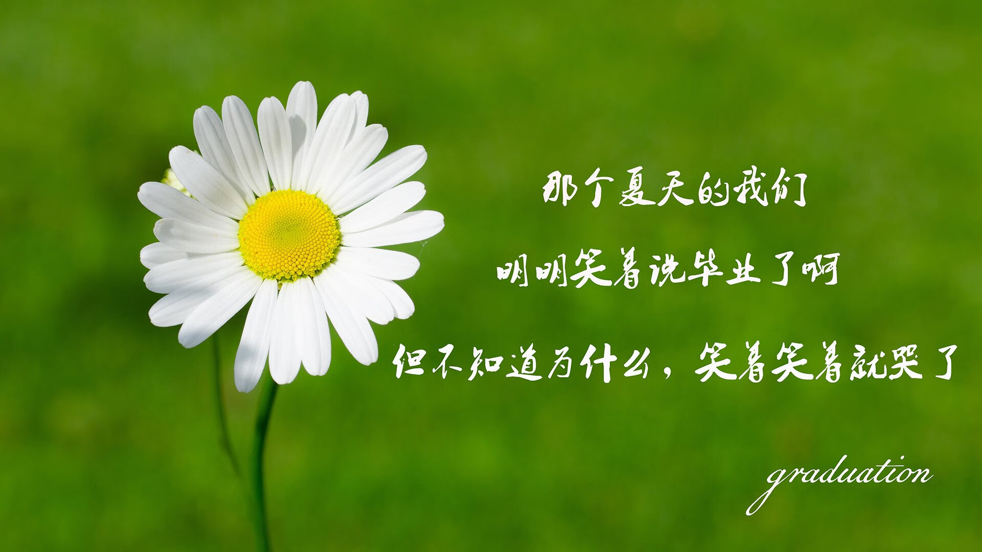 山西队收割开拓者，哈登刷新纪录，当东方铁蹄踏过玫瑰花园
