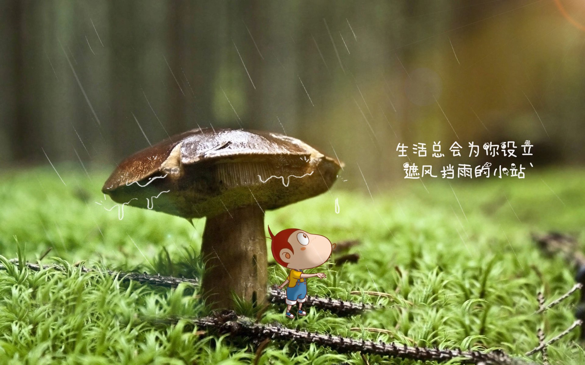 世界排名争夺战焦点战，西班牙决胜局惊险带走乌克兰